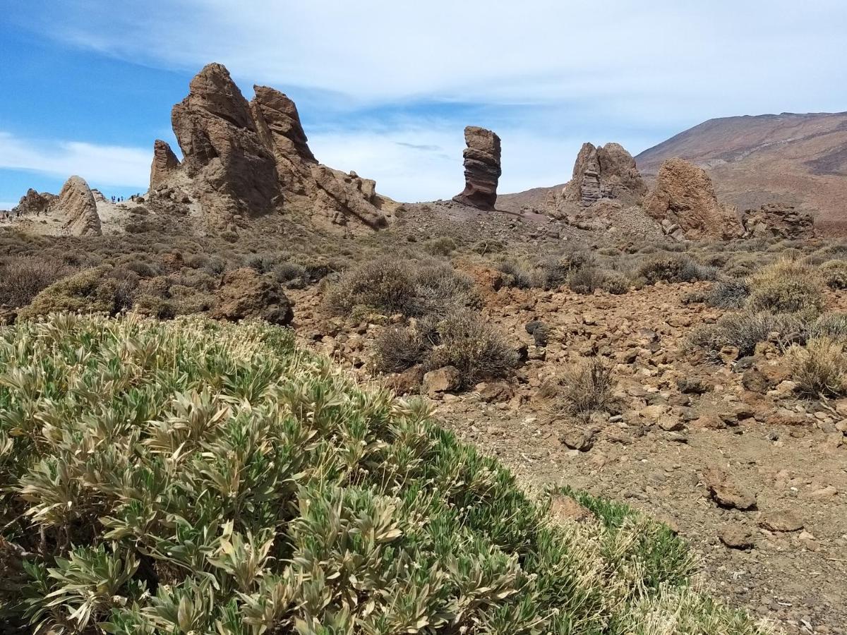 Tenerife Playa La Arena Пуэрто-де-Сантьяго Экстерьер фото