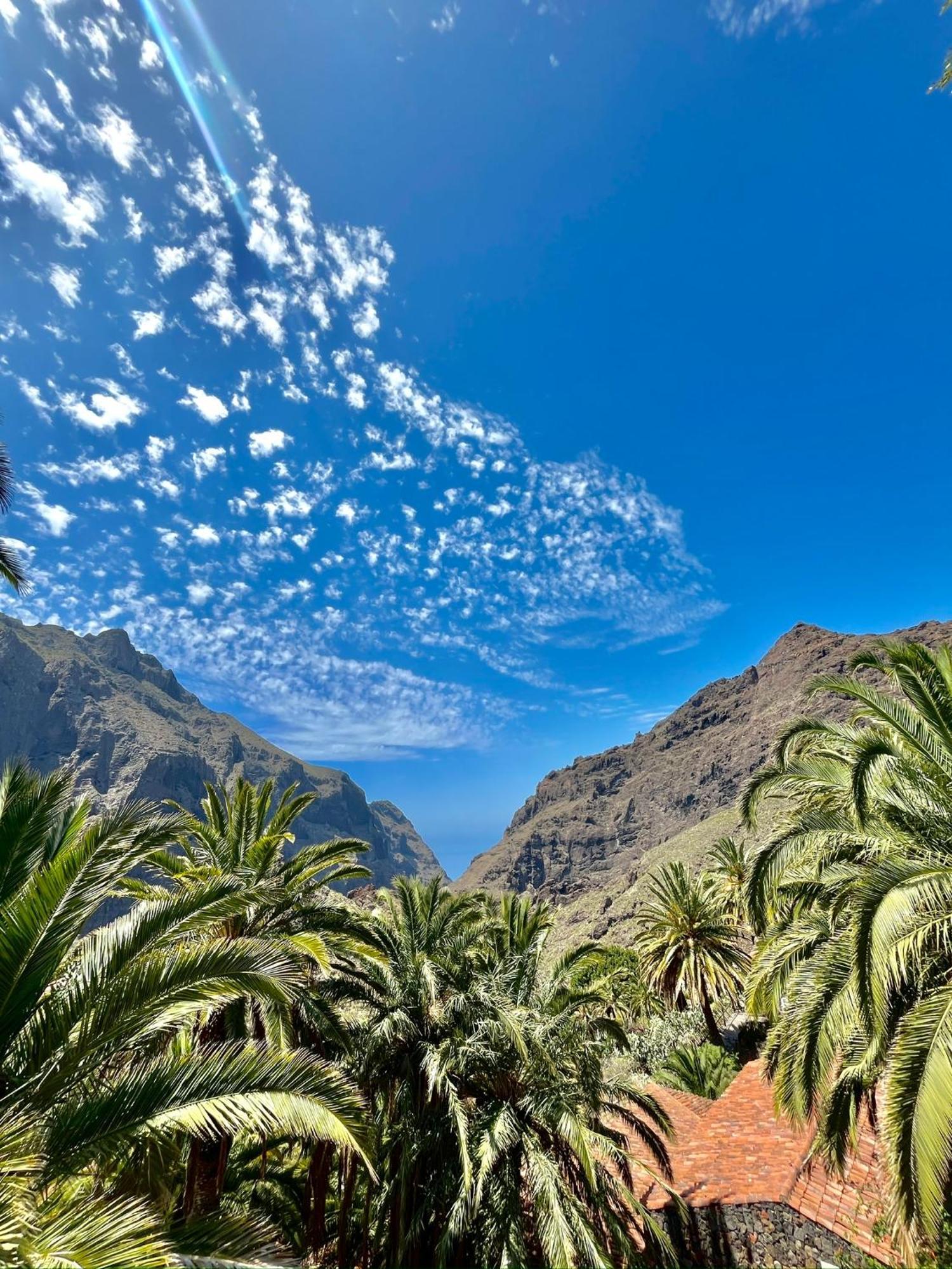 Tenerife Playa La Arena Пуэрто-де-Сантьяго Экстерьер фото